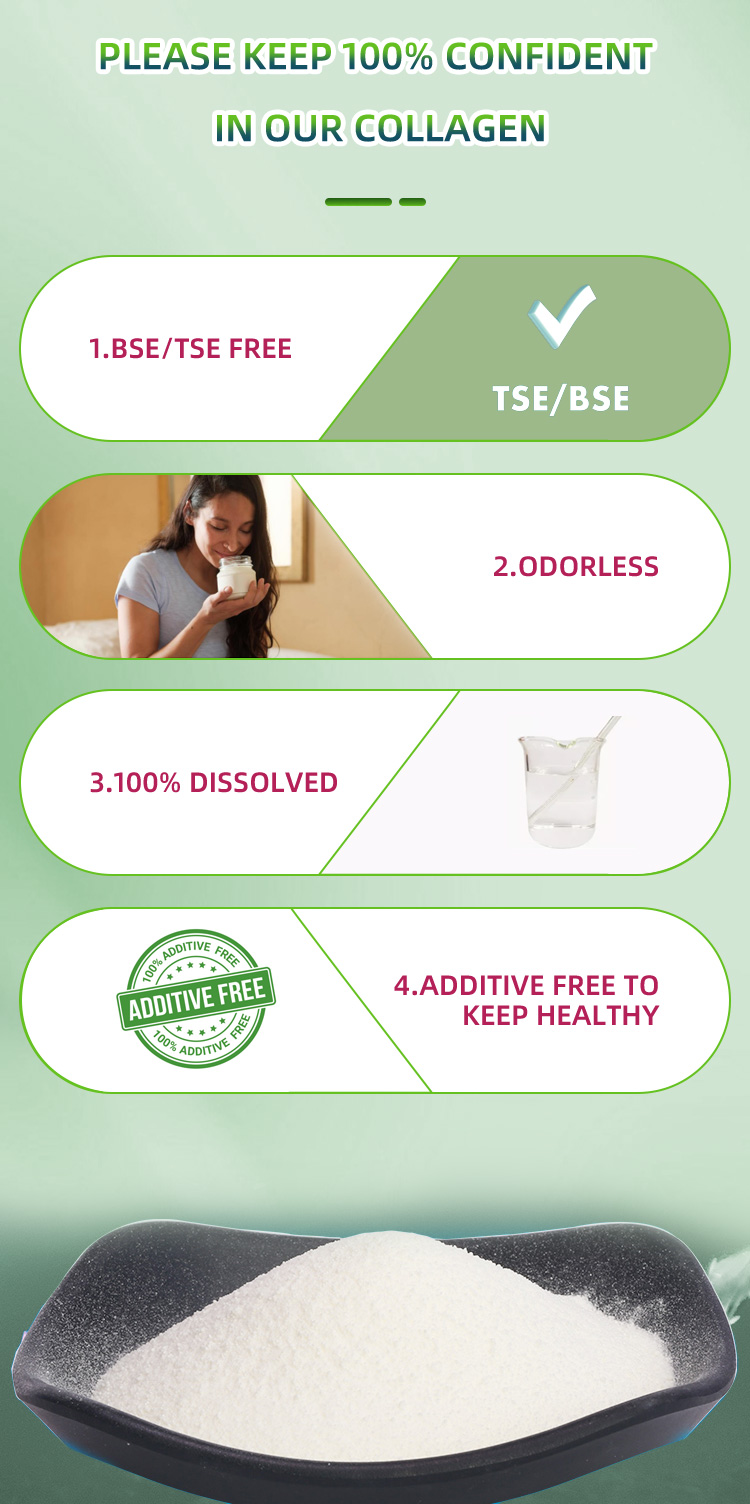 Organic Hydrolyzed Rice Protein Peptide Powder Rice Vegan Protein Rice Peptide